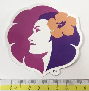 havai_logo